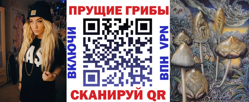 Галлюциногенные грибы Cubensis Мончегорск