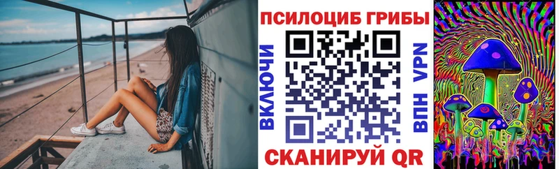 гидра Мончегорск Галлюциногенные грибы GOLDEN TEACHER
