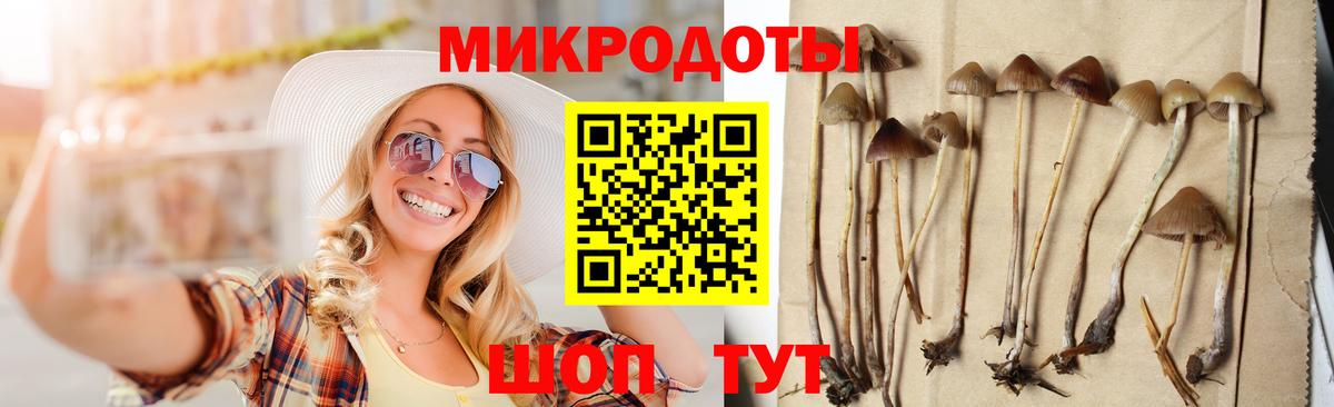 Мончегорск  Галлюциногенные грибы Psilocybe  Вход с VPN 