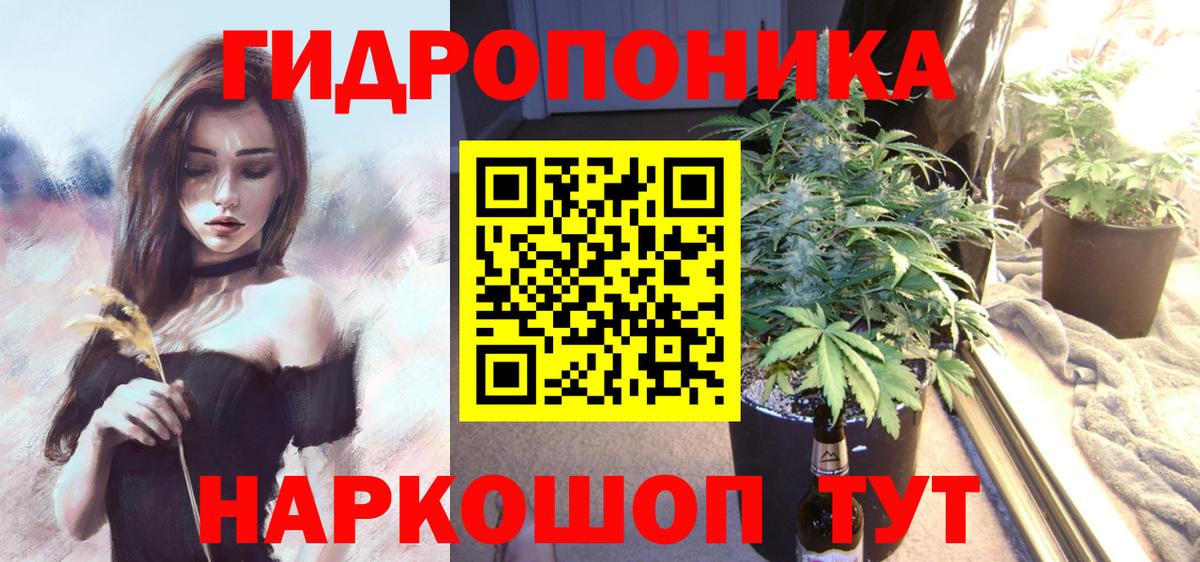 Канабис MAZAR Мончегорск